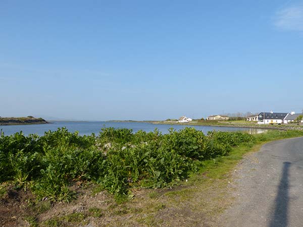 Brandy Harbour Cottage, Ireland