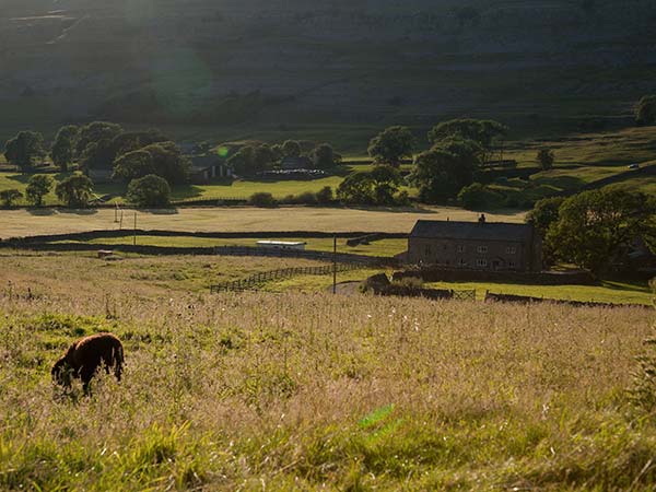 Dale House Farm Cottage, Yorkshire Dales