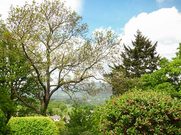 Treetops, Wales