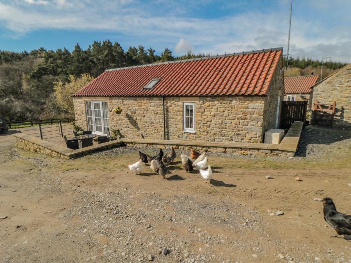 Erica's 'eaven, North York Moors