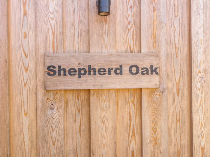 Shepherd Oak, Dorset