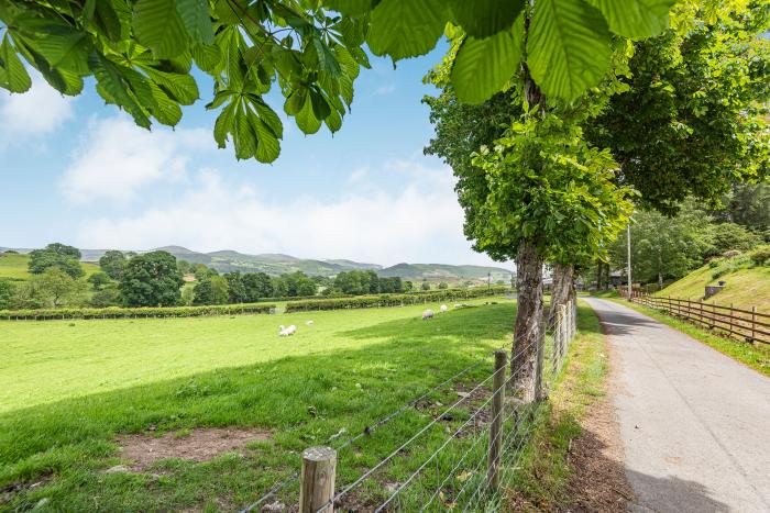 Waedog Bach, Wales