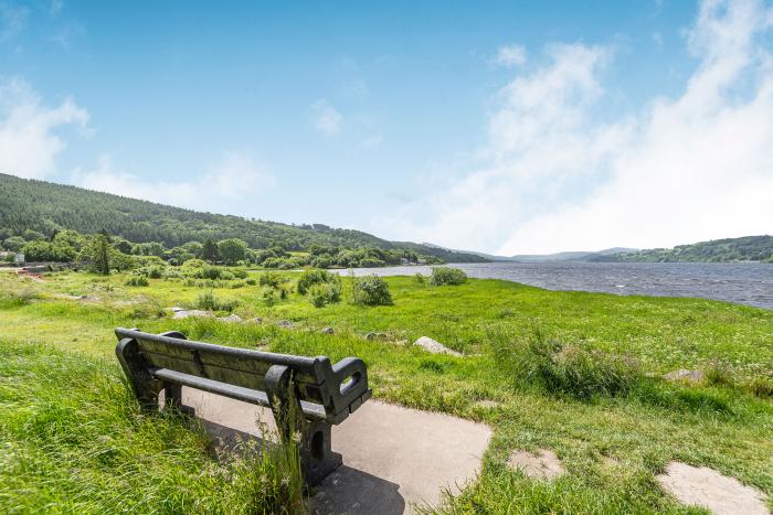 Waedog Bach, Wales