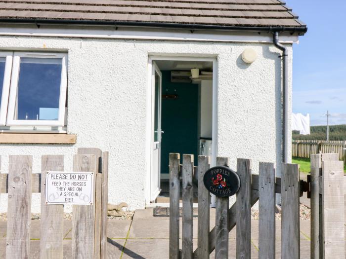 Poppies Cottage, Scotland