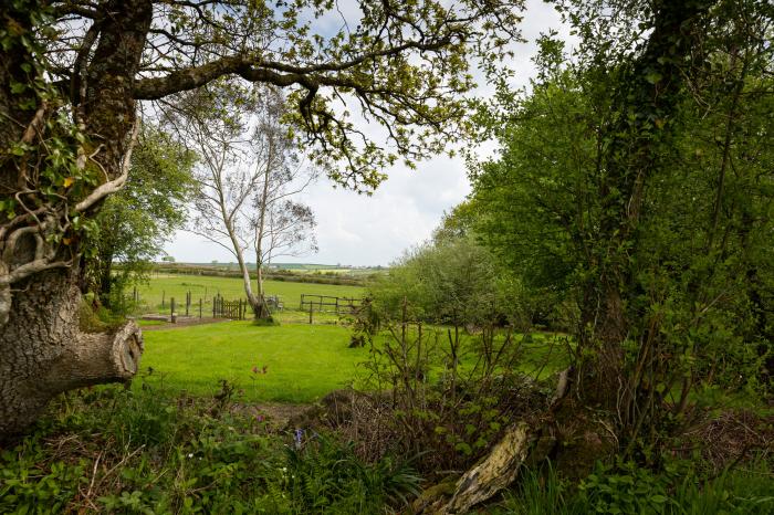 Tarquol Cottage near Torrington, Devon. In a rural location. Pet-friendly. Shared indoor heated pool