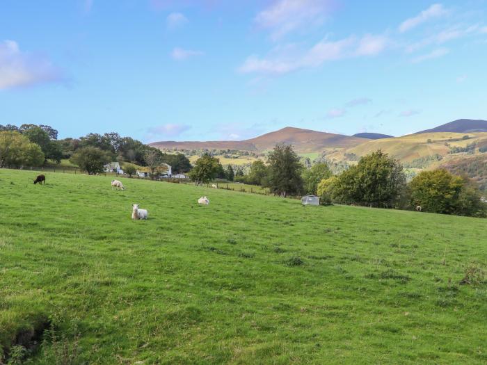 Tyn Llwyn, Wales