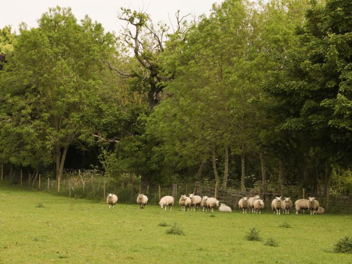 Newlands Farm, Derbyshire