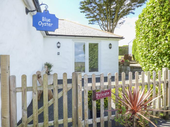 Blue Oyster, Mullion, Cornwall