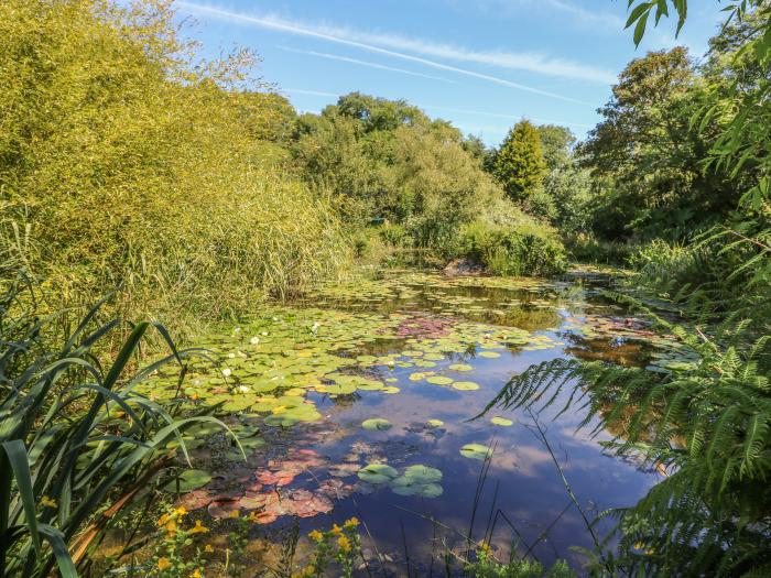 Pond Cabin, Cornwall