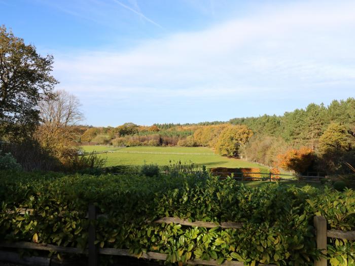 Long Meadow, Hampshire