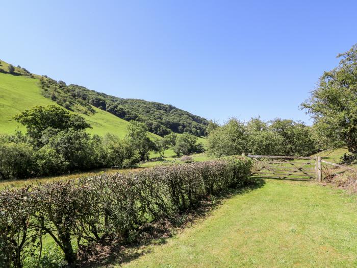 Dolgenau Hir, Trefeglwys