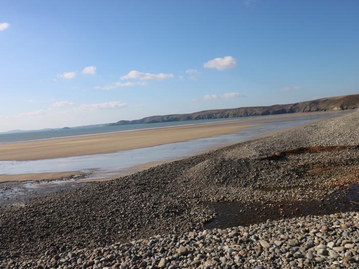 Driftwood, Pembrokeshire