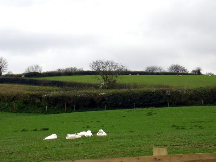 Bowbeer Barn, Devon