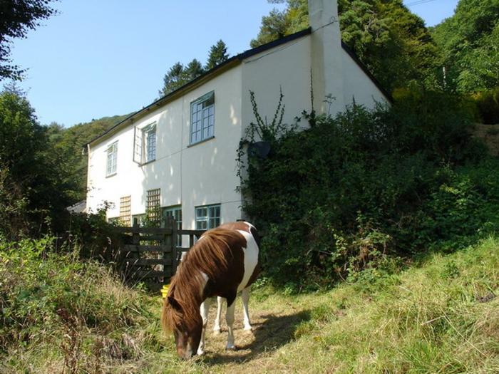 Barn Cottage, Hawkridge