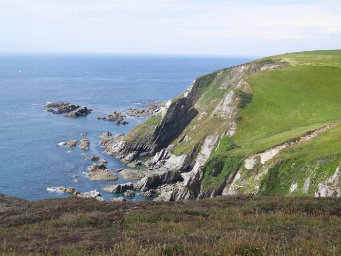 Ayrmer Path, Devon