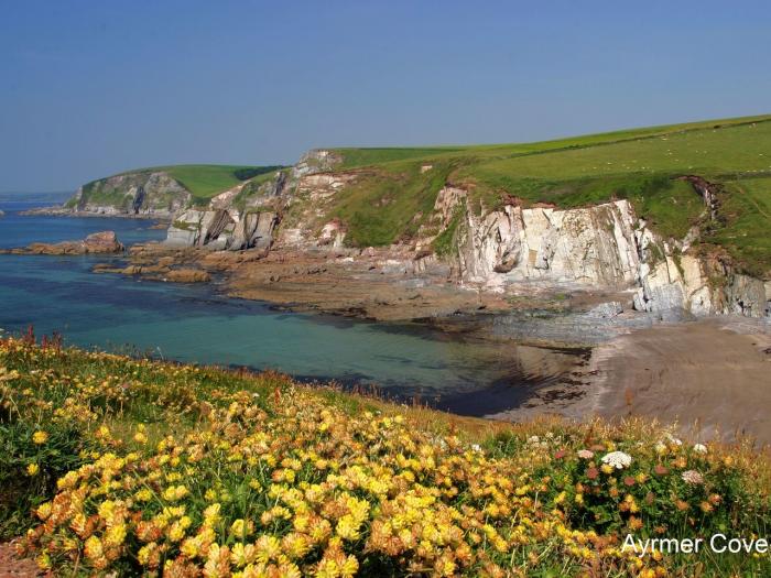 Ayrmer Path, Devon