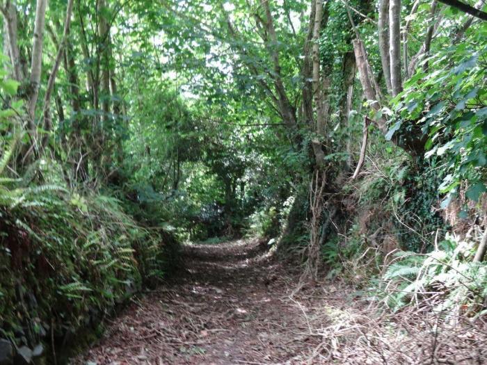 Badger Cottage, Cornwall