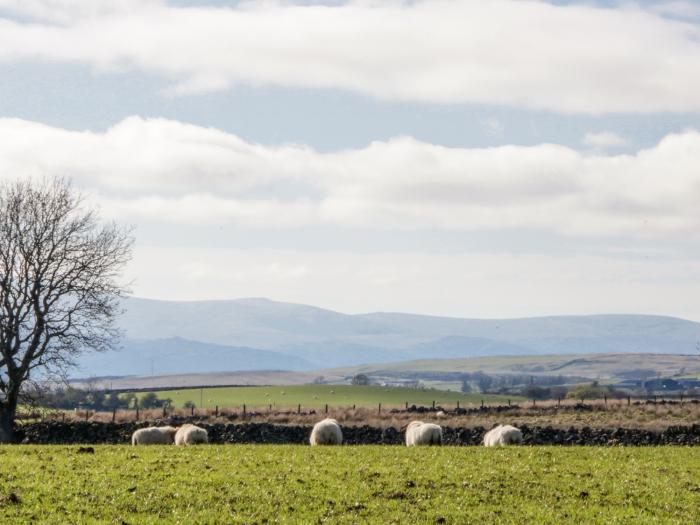 5 Ceirnioge Cottages, Snowdonia National Park