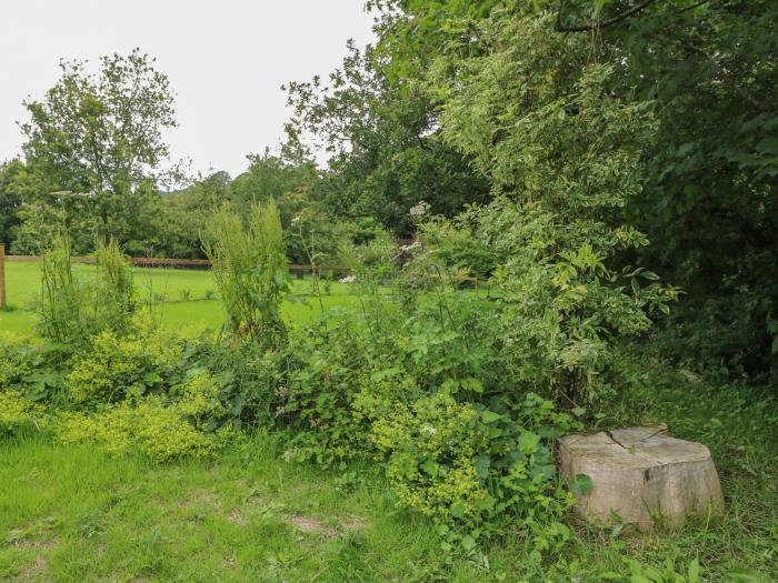 Field View, Llanybydder