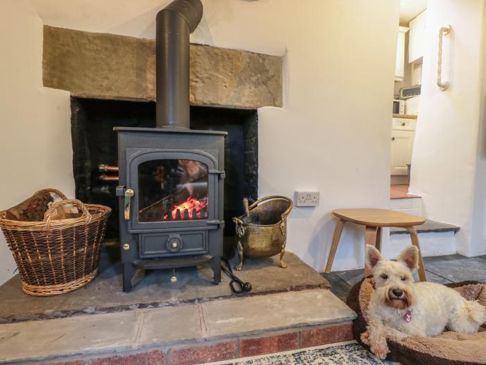 Happy Cow, Symonds Yat