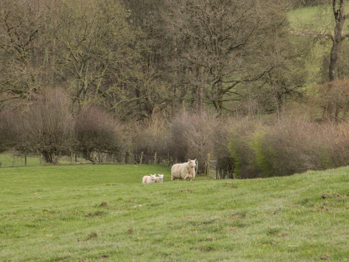 Waggoners Cottage, Powys