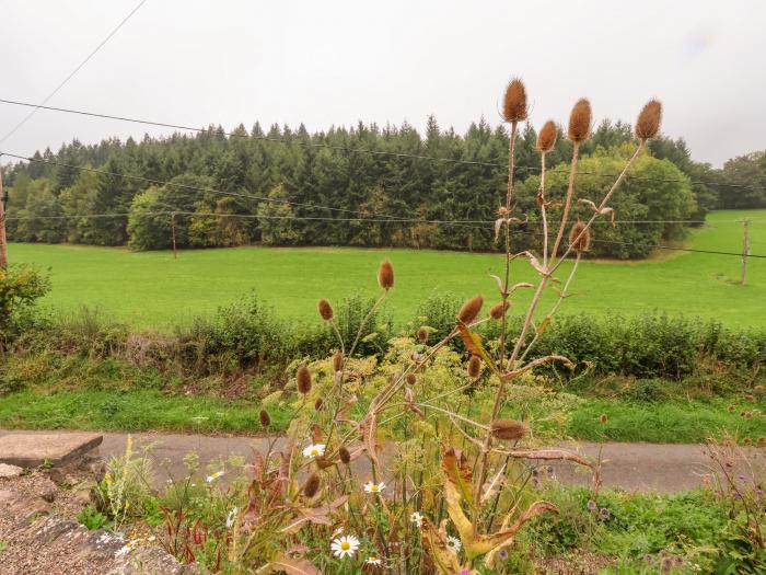 1 Ty Capel, Pwllglas, Denbighshire. One-bedroom cottage, ideal for a couple. Countryside views. Pets