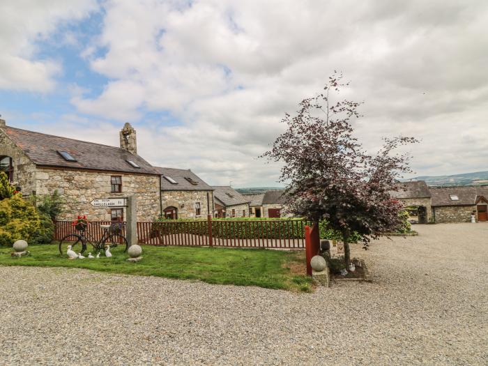 The Loft, Ireland