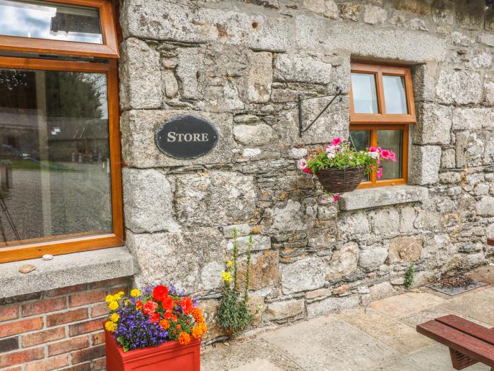 The Store, Ireland