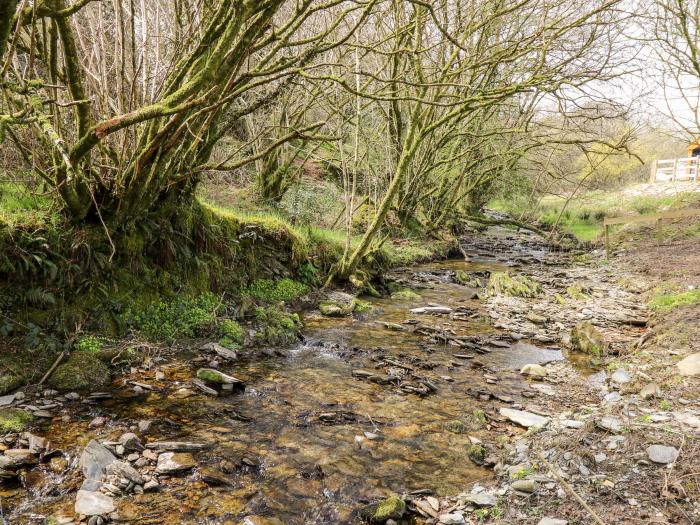 The Hen Pen, Cenarth