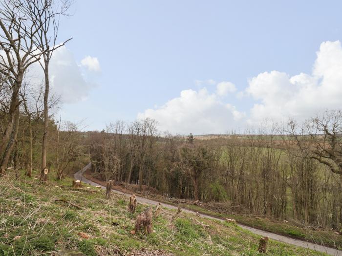 Tree Tops, East End