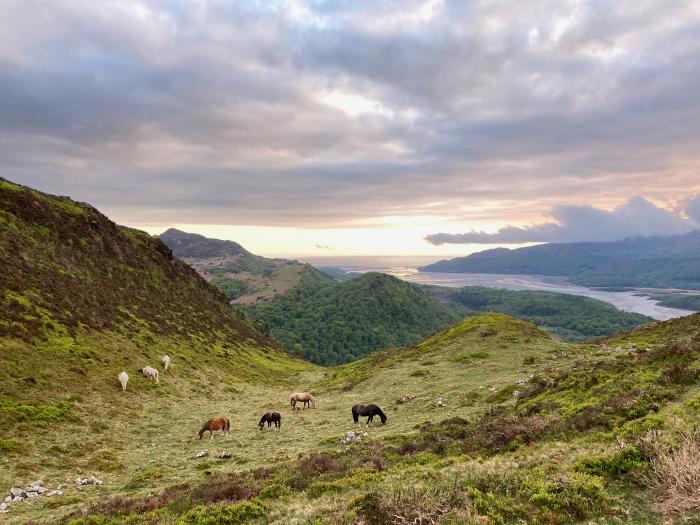 Tan Y Fedwen, North Wales