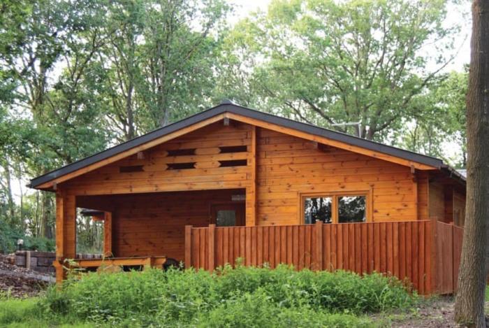 Woodland Birch Lodge