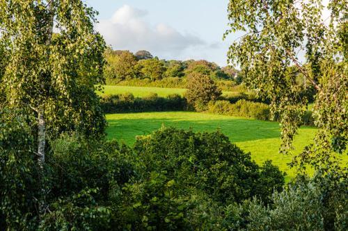 Cornwall Countryside Lodges + Bungalows