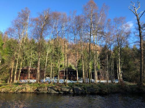 Riverside log cabins, Comrie, Perth and Kinross