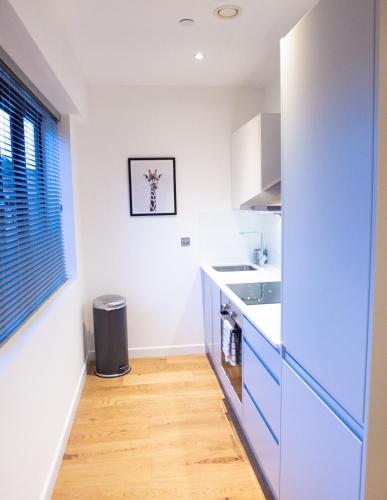 Stylish and Clean 1 Bed Apartment Maidenhead Town center, Maidenhead, Berkshire