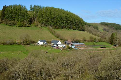 Snug Oak Hut with a view on a Welsh Hill Farm