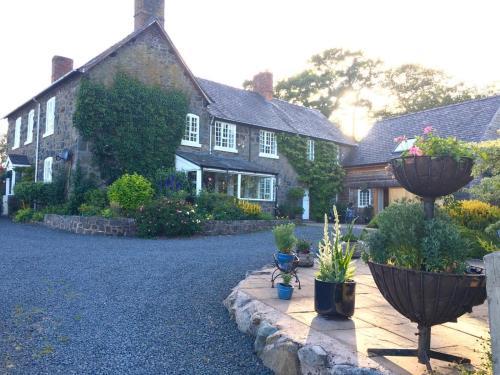 Welsh Farmhouse, natural swimming pool, secluded and fabulous unspoilt countryside views, sleeps 14