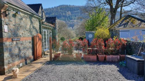 Chambers Apartment @ The Old Magistrates, Betws-y-Coed, Conwy