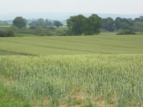 High Oak Holiday Cottage