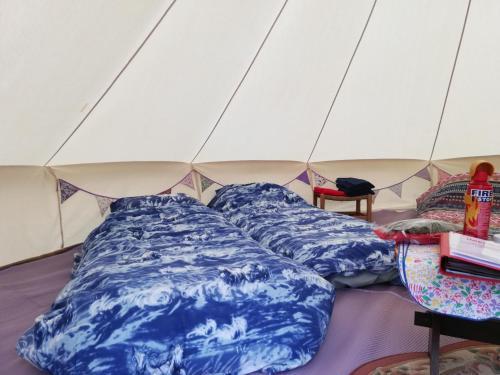 Beautiful 4-Bed Wigwam Yurt in Tynygraig
