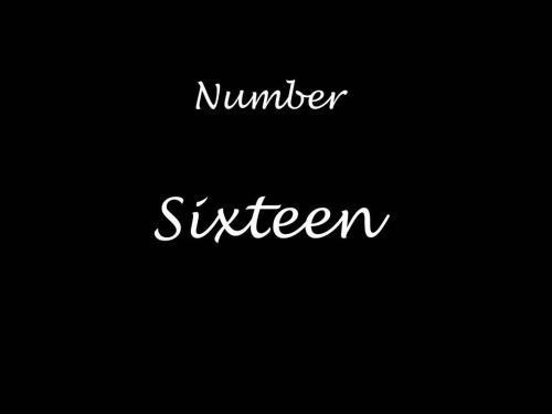 Number Sixteen, Bishop Auckland, Durham