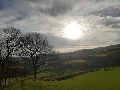 Cae Mawr Yurt Glamping