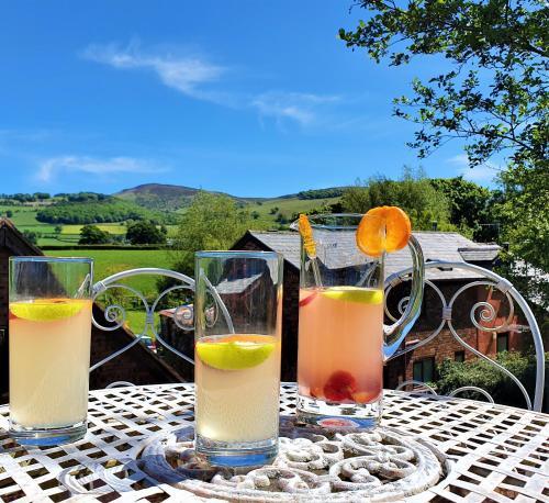 The Granary, Plâs-Llanrhydd, Denbighshire