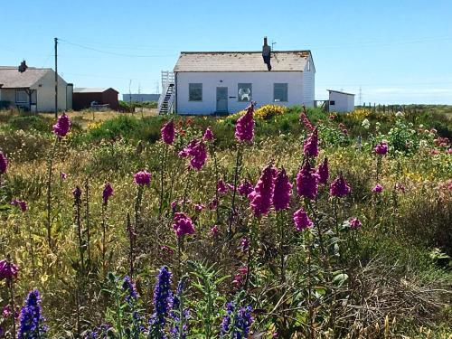 Charming original fishermans cottage on Dungeness beach