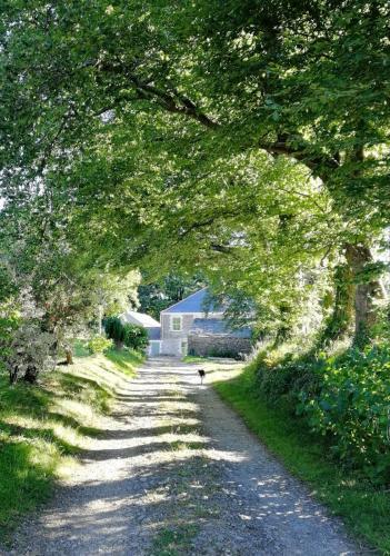 Cornwall, Looe - Magical Pendriffey