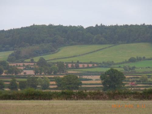 Archers Cottage