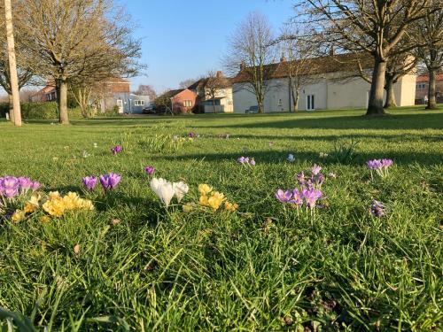 2 Lilac Cottages