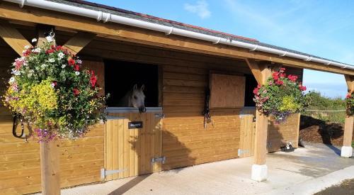 Rosebank Barn