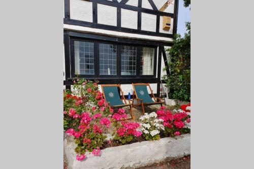 Bournemouth secluded cottage 10mins walk to beach, Boscombe, Dorset