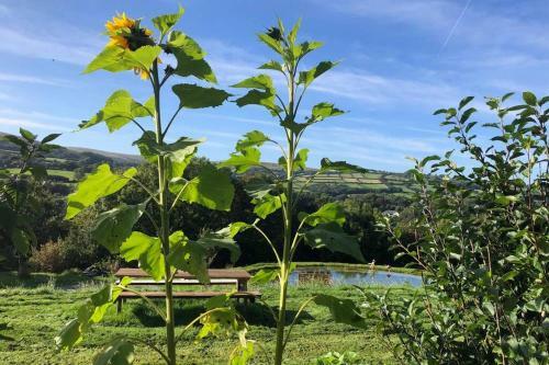 Stables, 1 bed Eco earth house, edge of Dartmoor